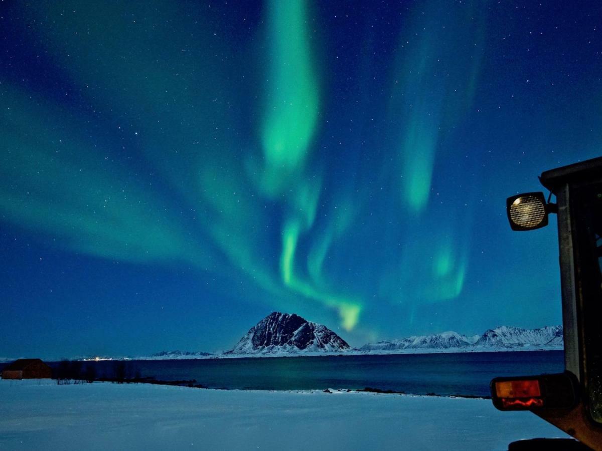 Steinbakk - Vestresand Lofoten Bostad Экстерьер фото