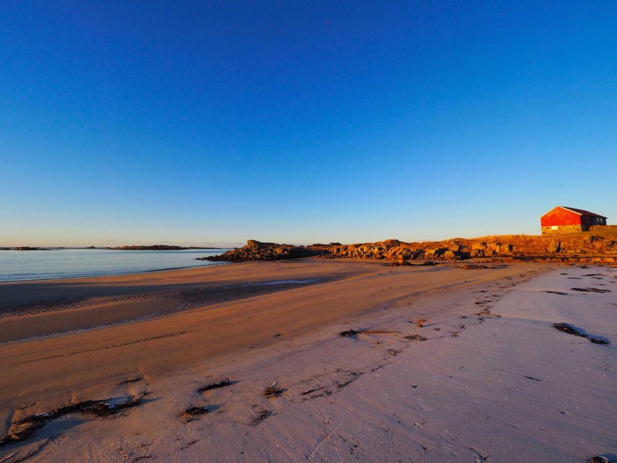 Steinbakk - Vestresand Lofoten Bostad Экстерьер фото